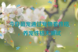 今日萌宠通过宠物看性格，养宠性格大测试