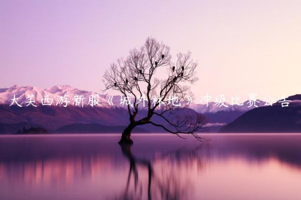 大笑西游新服《城外林地》冲级比赛公告