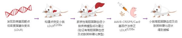 基因治疗