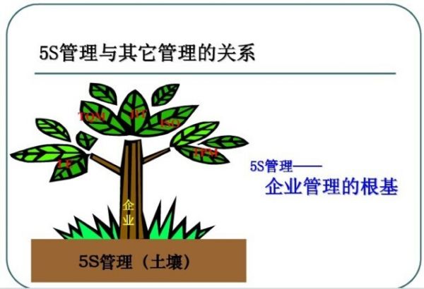 什么是宠物店5s管理方案？宠物店5S管理手册