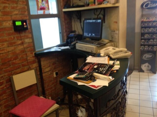 什么是宠物店5s管理方案？宠物店5S管理手册