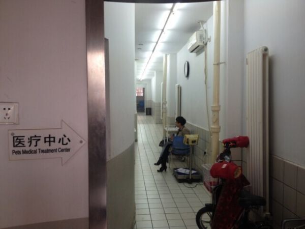 什么是宠物店5s管理方案？宠物店5S管理手册