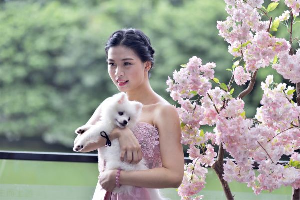 美女与宠物狗