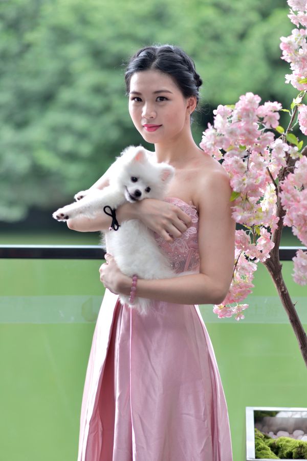 美女与宠物狗