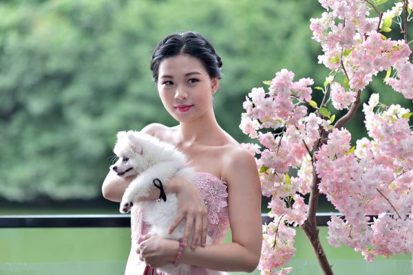 美女与宠物狗