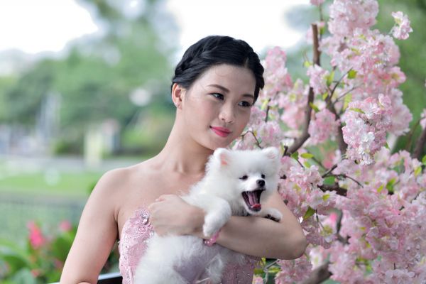 美女与宠物狗