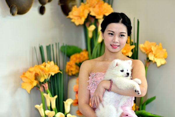 美女与宠物狗