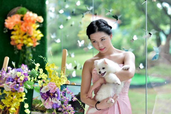美女与宠物狗