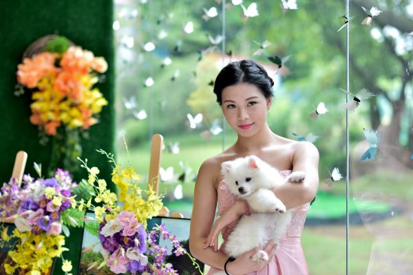 美女与宠物狗