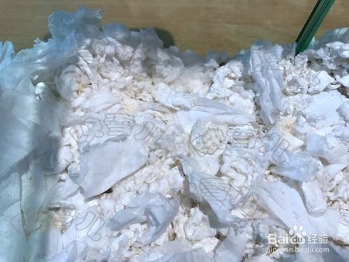 怎么样养小仓鼠详解