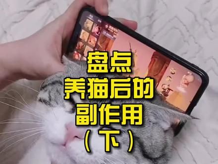 第874集：盘点养猫后的副作用第二弹！#猫咪 #宠物 #养猫新手 #科普知识 