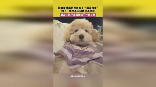 9月25日 山东，和对象拌嘴后抱着狗子“离家出走”，狗子：你也不问问我愿不愿意，网友：这“家庭地位”...
