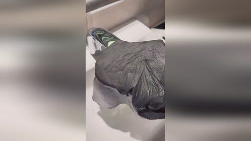 擦玻璃不掉毛不留印的秘诀就是这块魔力布，擦什么都好用