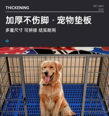小狗脚垫变黑的原因（探究宠物脚垫黑色现象的成因和防治方法）