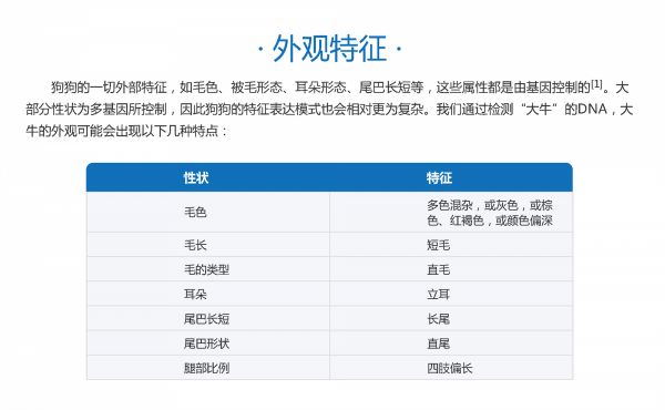 大型宠物狗安全用药检测_狗狗医疗药用相关