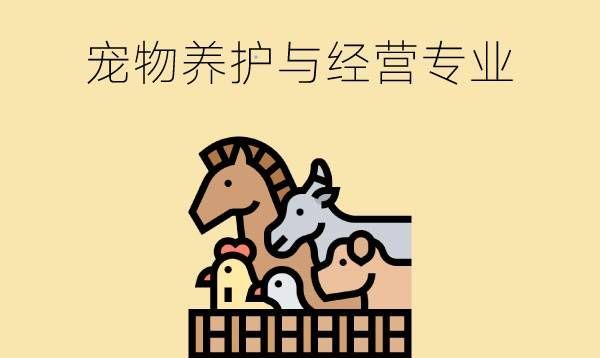 初中生毕业学宠物养护与经营专业能干什么？