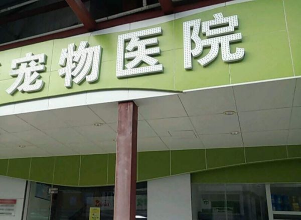 宠物猫狗耳螨治疗
