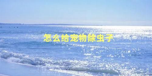 怎么给宠物除虫子