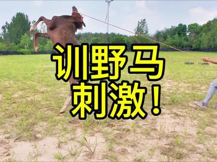 这匹马挺狠,人都骑上去了还要睡倒,就是不给骑!?#骑马 #推广马术运动 #旺仔的快乐生活