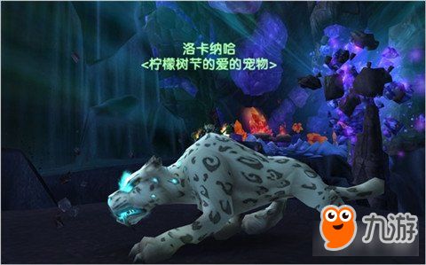 魔兽世界猎人宝宝推荐 最适合玩家的宠物