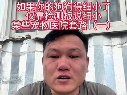 狗狗检测细小阳性，狗狗被告知细小了，宠物医院的那些坑。#养狗经验分享 #狗狗皮肤病 #莱州红幼犬 #莱州红 #养狗人