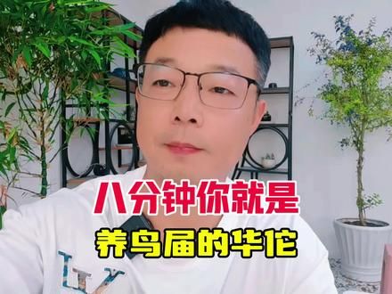 只需8分钟，你也是养鸟届的华佗和扁鹊，还找什么鸟医#鹦鹉 #鹦鹉 #鹦鹉鹦鹉萌萌哒逗鹦鹉 #干货分享