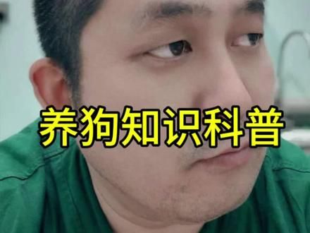 狗狗的皮肤病如何解决？#养狗经验分享 #新手养狗 #养狗技术 #狗狗知识大全