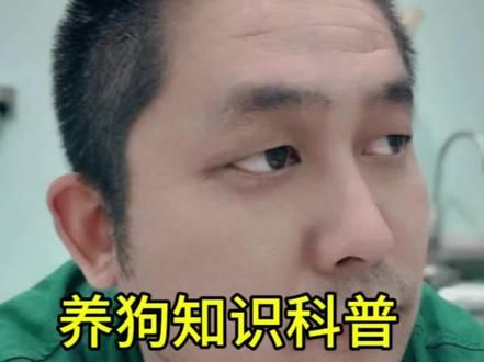 养狗知识科普#养狗经验分享 #科学养宠攻略 #养狗经验分享