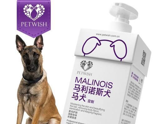 狗洗澡必备工具大盘点（如何选择最适合你的狗洗澡工具）