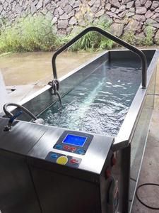 宇晟狗狗水下跑步机宠物水疗机水中跑步机减重关节康复定做