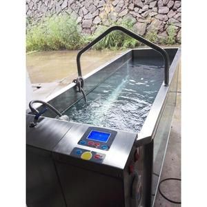 宇晟宠物跑步机水疗康复跑步机狗狗跑步机水下跑步机C480需定做