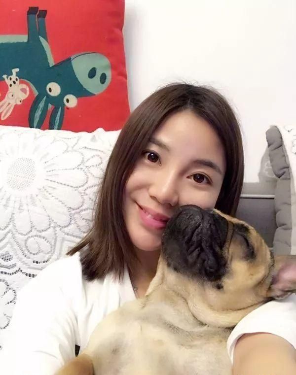 济南最美法国斗牛犬皮皮，这样的宠物狗狗只有亲生老娘才能降服