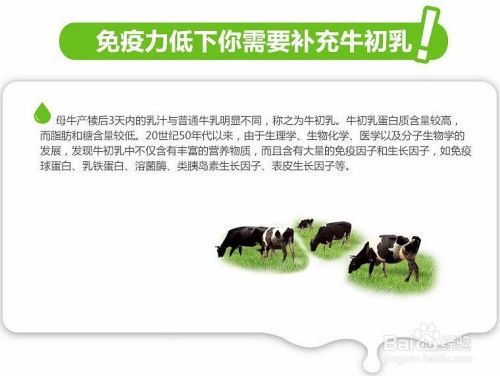 牛初乳的作用和功效
