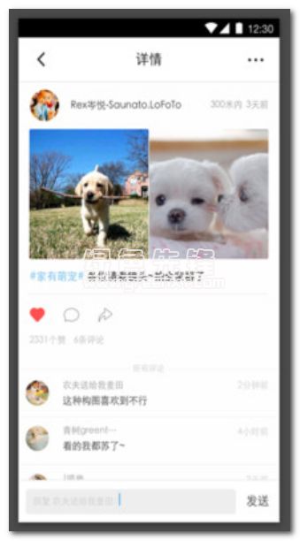 爪爪宠物手机版