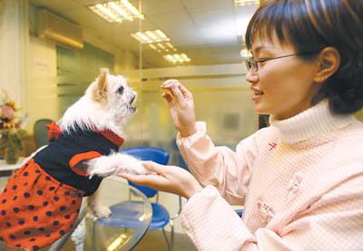 教狗狗学算术　替宠物当红娘(图)