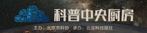 买错鹦鹉也犯法?只有三种鹦鹉可以合法饲养