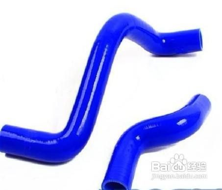 热带鱼养殖技巧
