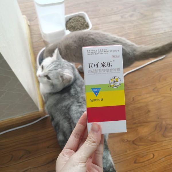 训导诱便/消毒除味