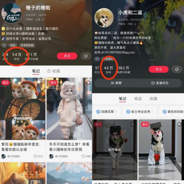 图片[4]-自带流量的萌宠领域，时装秀，健身秀-星创副业
