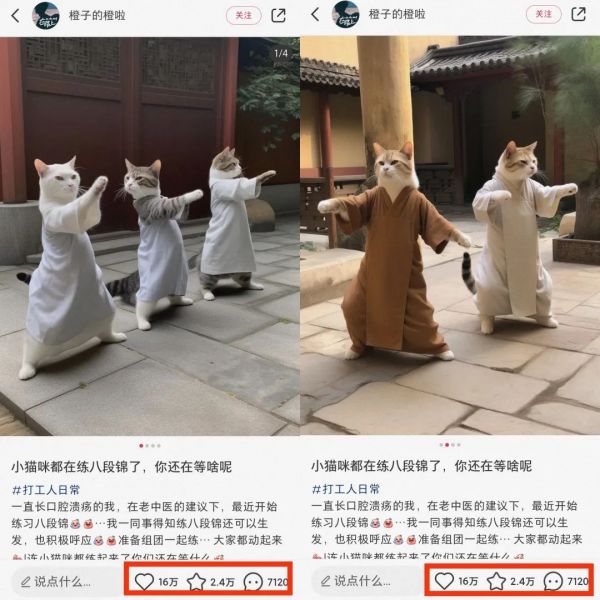 图片[7]-自带流量的萌宠领域，时装秀，健身秀-星创副业