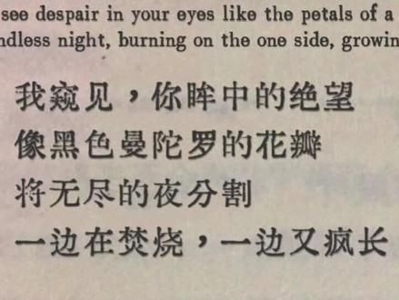 我窥见，你眸中的绝望,像黑色曼陀罗的花瓣将无尽的夜分割，一边在焚烧，一边又疯长。#原创 #现代诗 #超现实主义 #文案 #情感