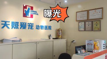 谁都不要阻拦我，我必须曝光这家宠物医院