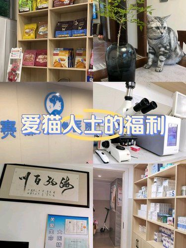 宠物们的健康守护者