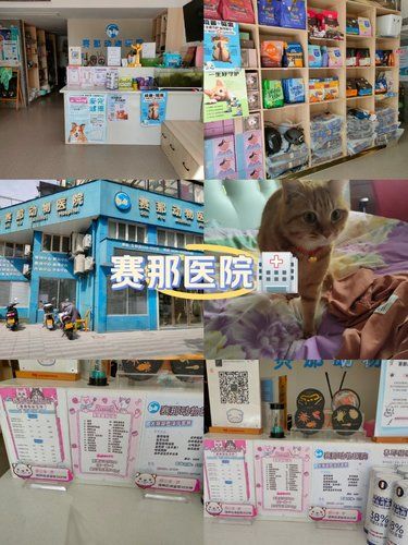 颜值与技术兼具的赛那医院[色][色][色]