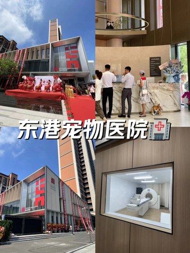 大连三甲宠物医院就在东港！不要太全面