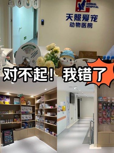 对不起！我真的知道错了