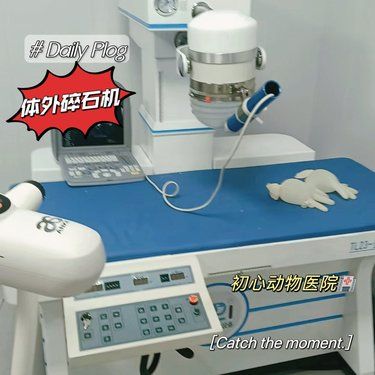 宠物体外碎石