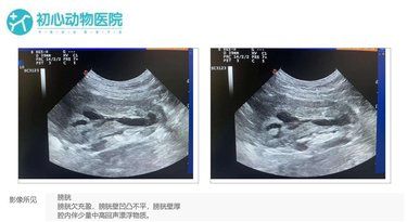 小小体检，大大安心❤️
