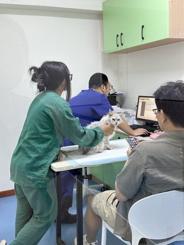 长沙我唯1⃣️想推荐的动物医院！宠物健康守护