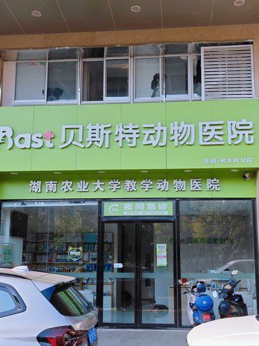 长沙口碑宠物医院！带着毛孩子体检的一天